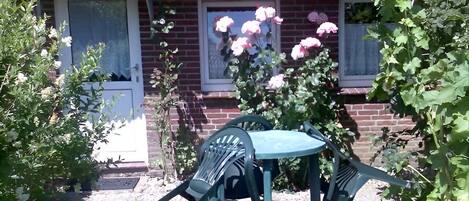 Terras