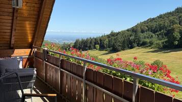 Eine Holzterrasse mit Gartenmöbeln, einem Geländer und Blick auf eine grüne Landschaft.