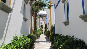 Un pasillo estrecho y blanco con detalles azules y amarillos, flanqueado por exuberantes plantas verdes y un cielo despejado visible a través de un arco.