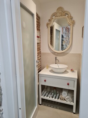 Shower, hair dryer, bidet, towels