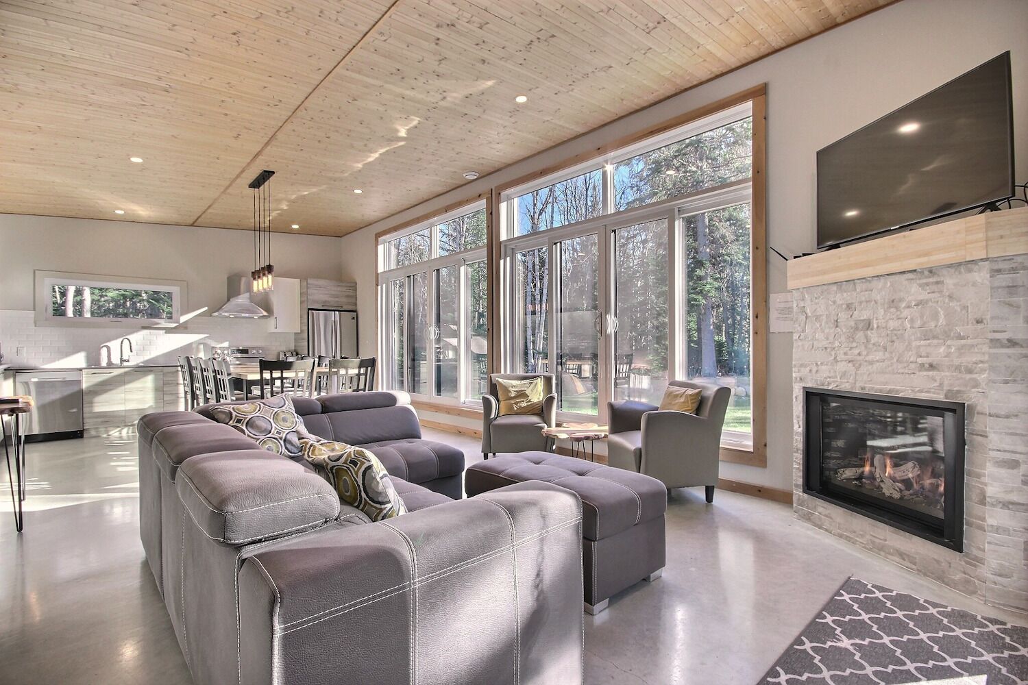 TV, fireplace