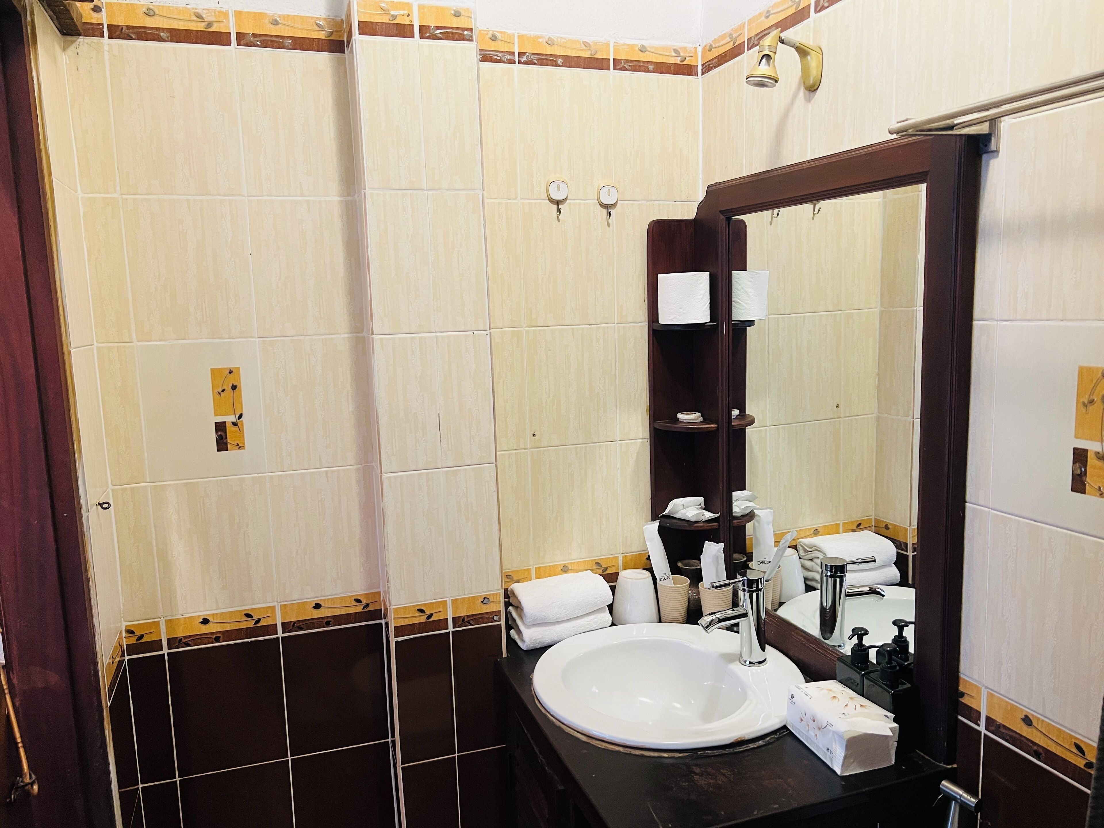 Classic Double Room | Bathroom