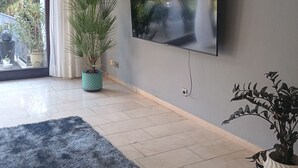 Olohuoneessa on seinälle asennettu taulutelevisio, harmaa matto ja ruukkukasveja.