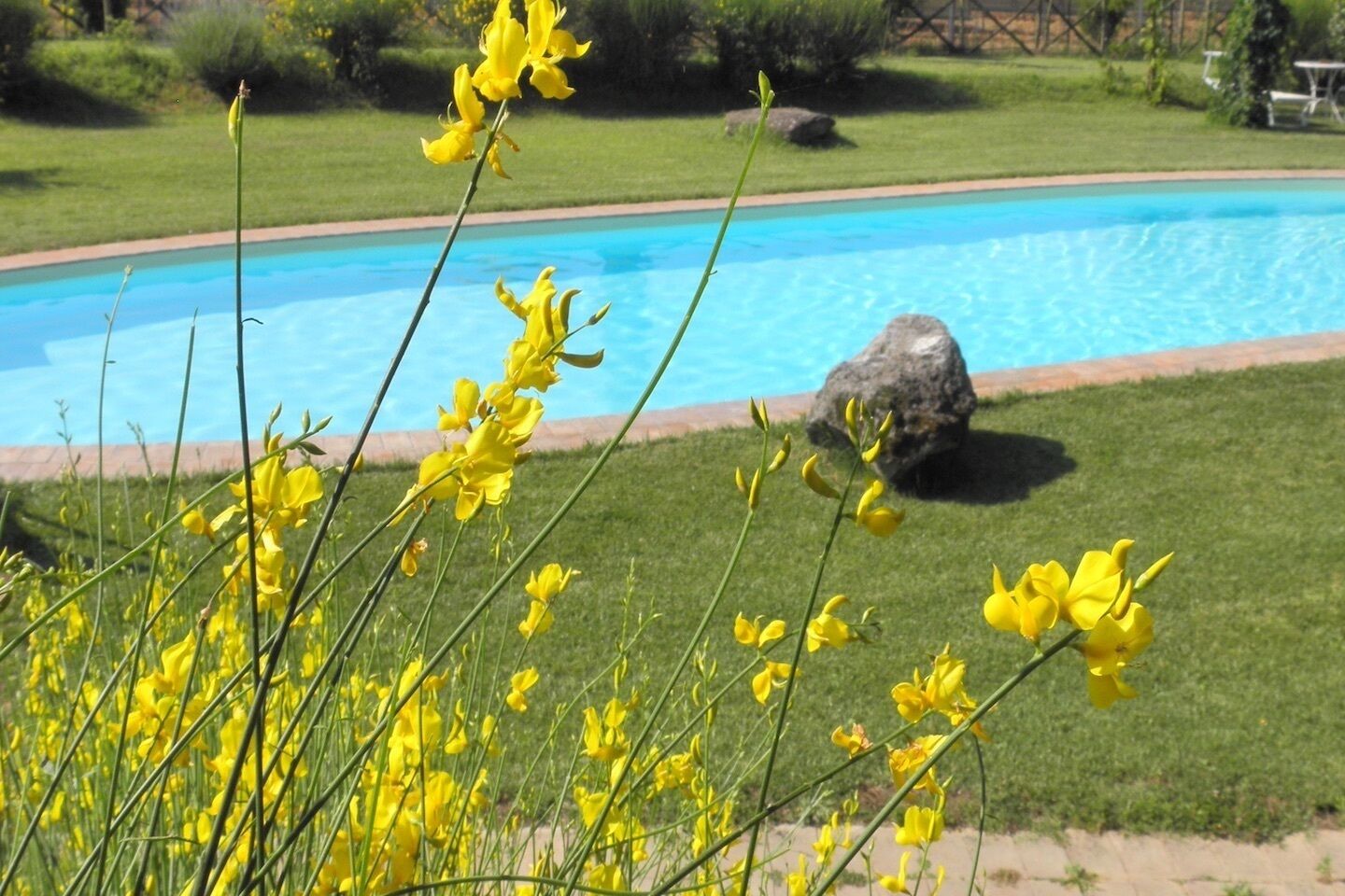 Una piscina con césped y flores amarillas al frente.