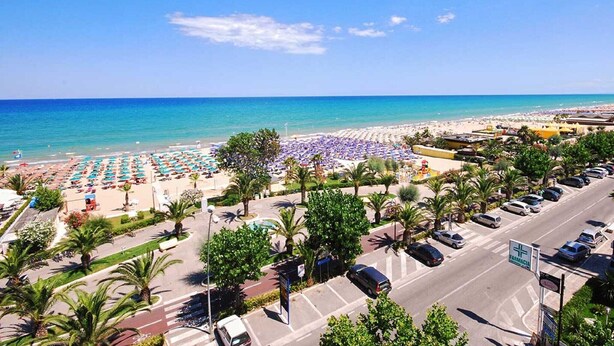 A beach with rows of umbrellas and sun loungers, a parking lot, and a pharmacy sign.