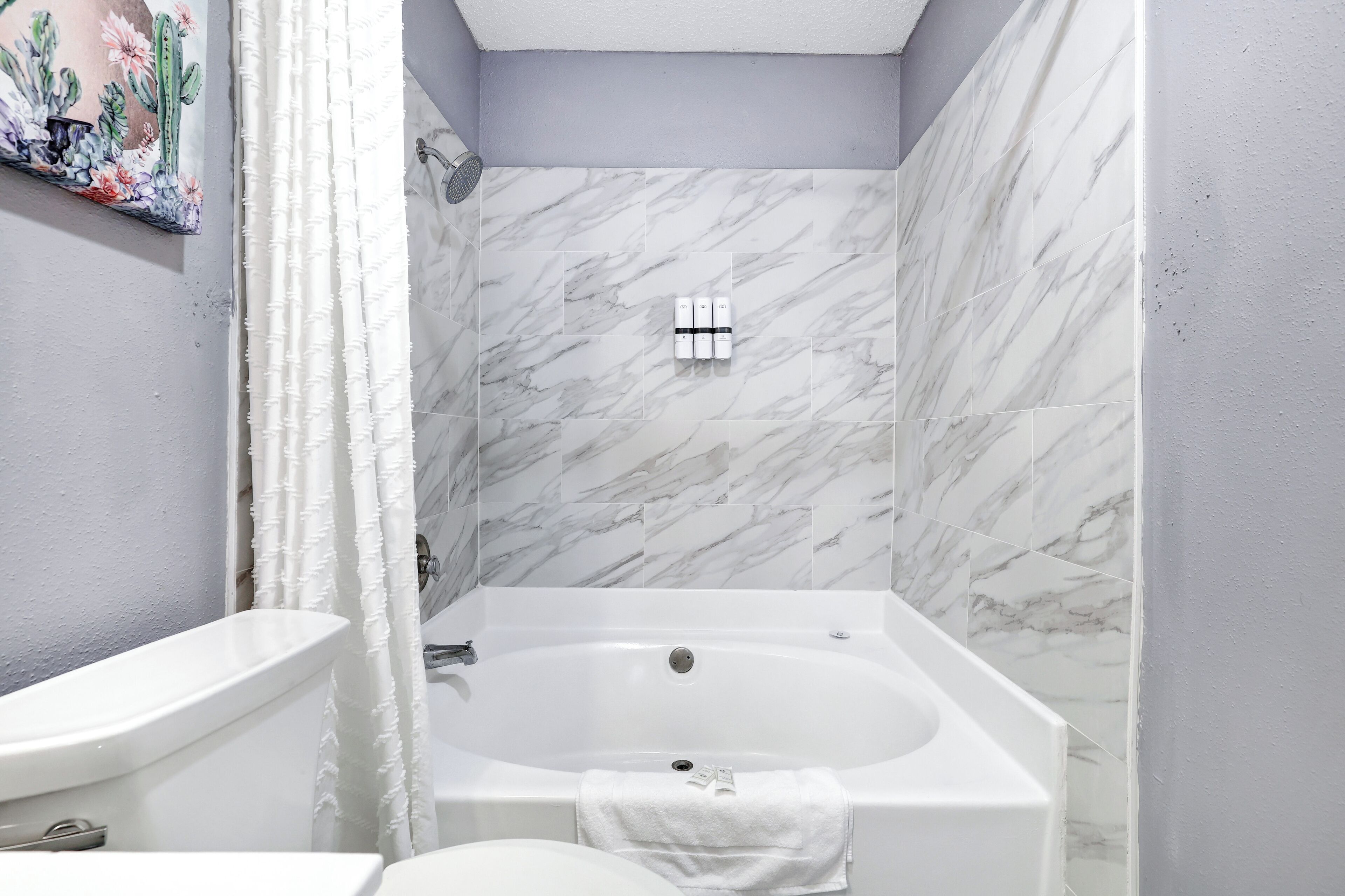 Hair dryer, towels, soap, shampoo
