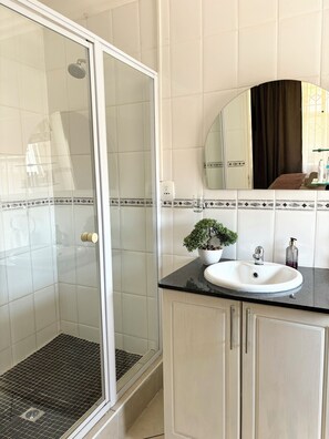 Shower, hair dryer, towels, soap