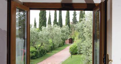 Comiti Farmhouse - Apt. Buonarroti