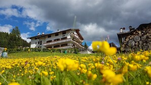 Un edificio con varios balcones, un jardín con flores amarillas y un cielo nublado.