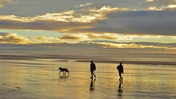 Liegestühle, Strandtücher