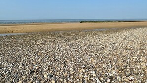 A pebbled beach with a clear sky. - Chambres d'Hôtes de l'Ancienne Auberge (Thaon)