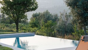 A swimming pool with a lounge chair, surrounded by greenery and trees.