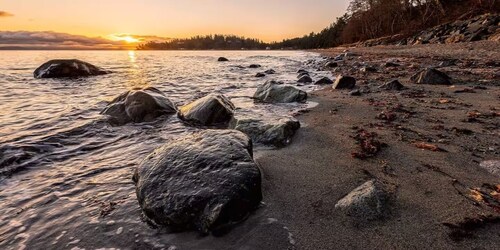 Modern Coastal Retreat | 1 Block To The Ocean