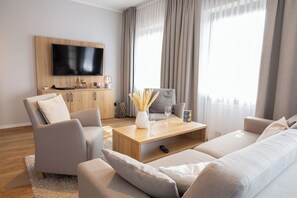 Télévision, vidéothèque, chaîne hi-fi