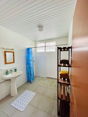 Ducha, secador de pelo, bidé y toallas