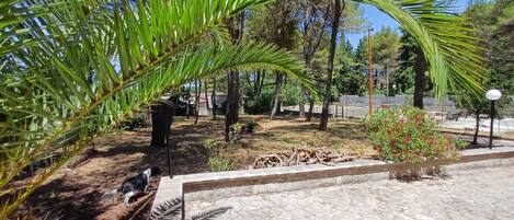 Property grounds