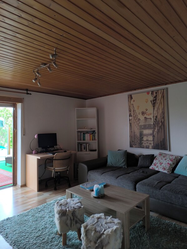 TV, computer monitors