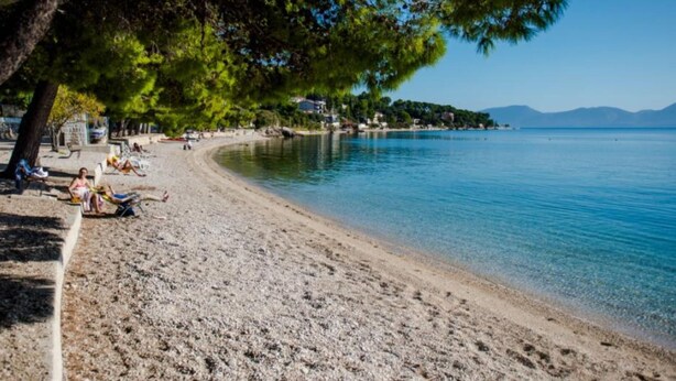 A beach with clear water, a sandy shore, and a tree providing shade. - Apartmani Martinović (Gradac)