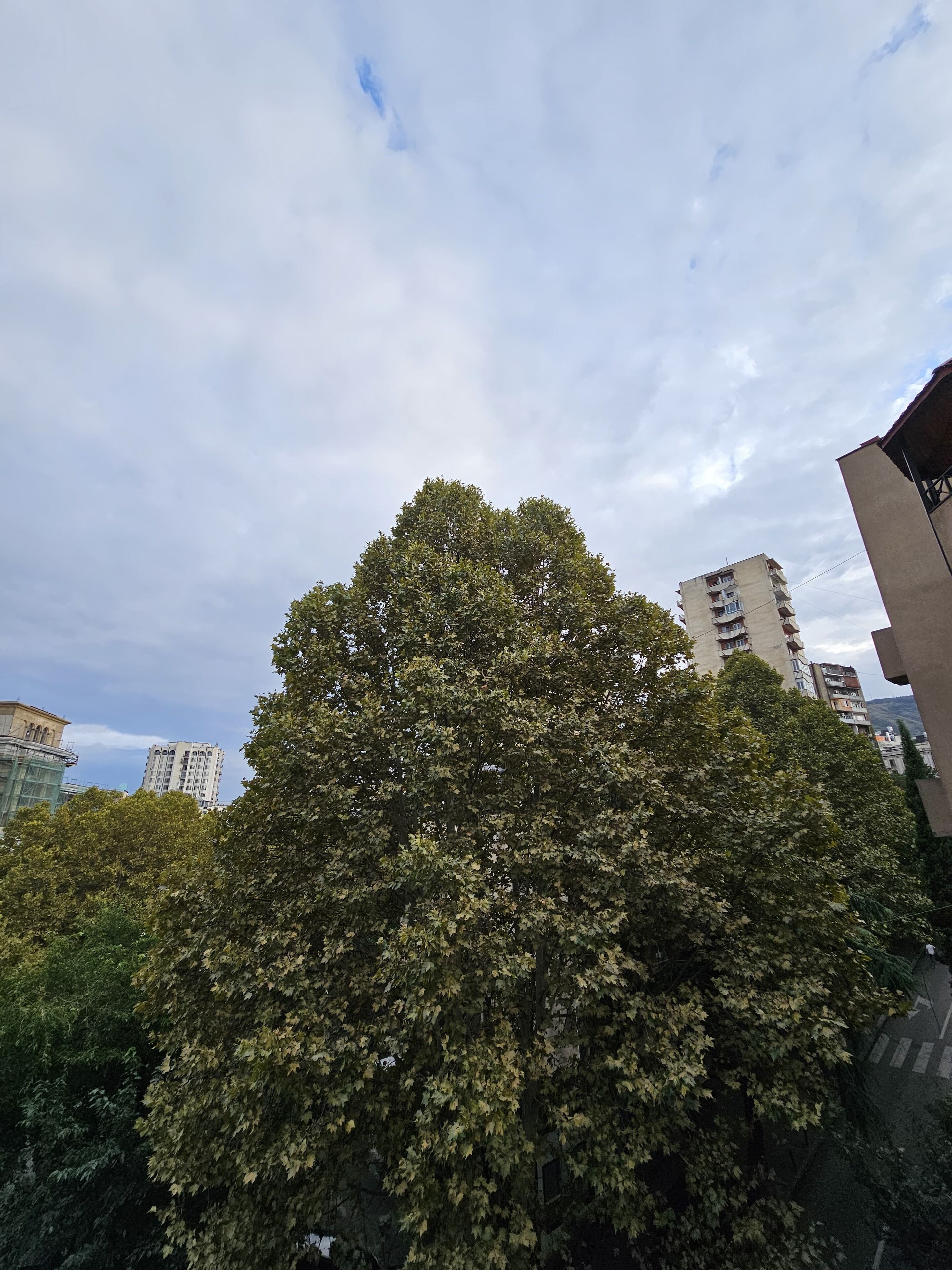Foto - Hotel Giorgi