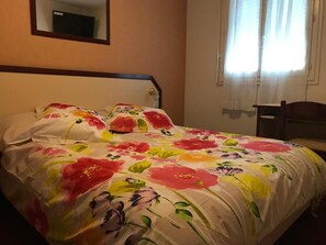 Classic Double Room - HOTEL MYOSOTIS (Lourdes)