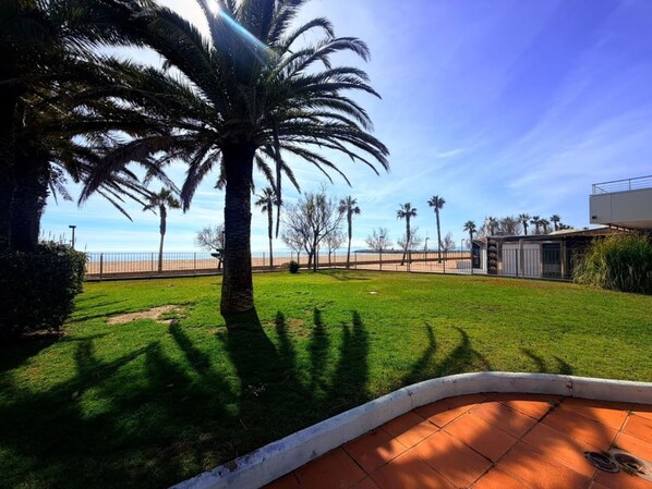 A well-maintained lawn with a palm tree, a clear sky, and a distant beach.
