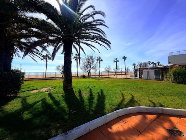 Un césped bien cuidado con una palmera, cielo despejado y una playa distante.