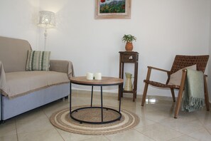 TV, lareira, DVD player, livros