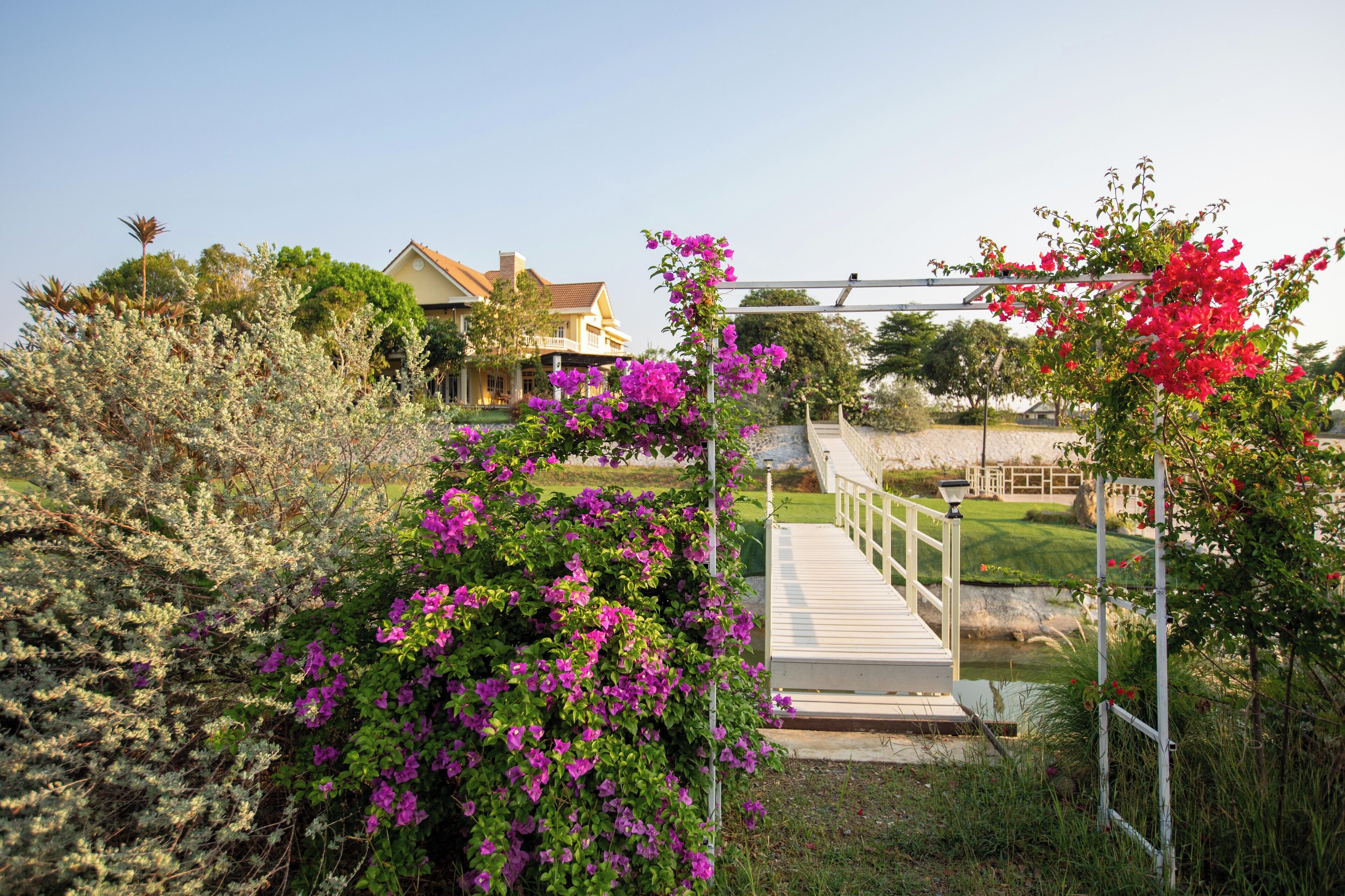 Vue depuis l’hébergement