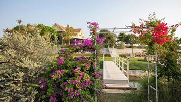 Vue depuis l’hébergement