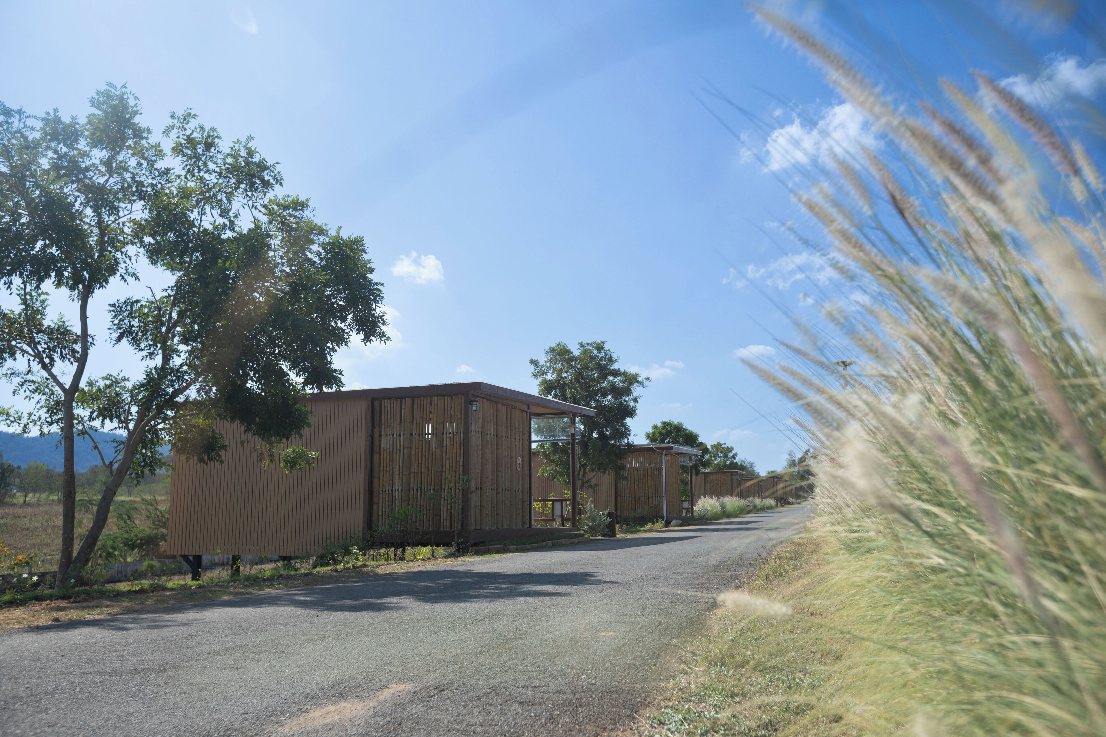 A rural road with wooden buildings, trees, and a clear sky.