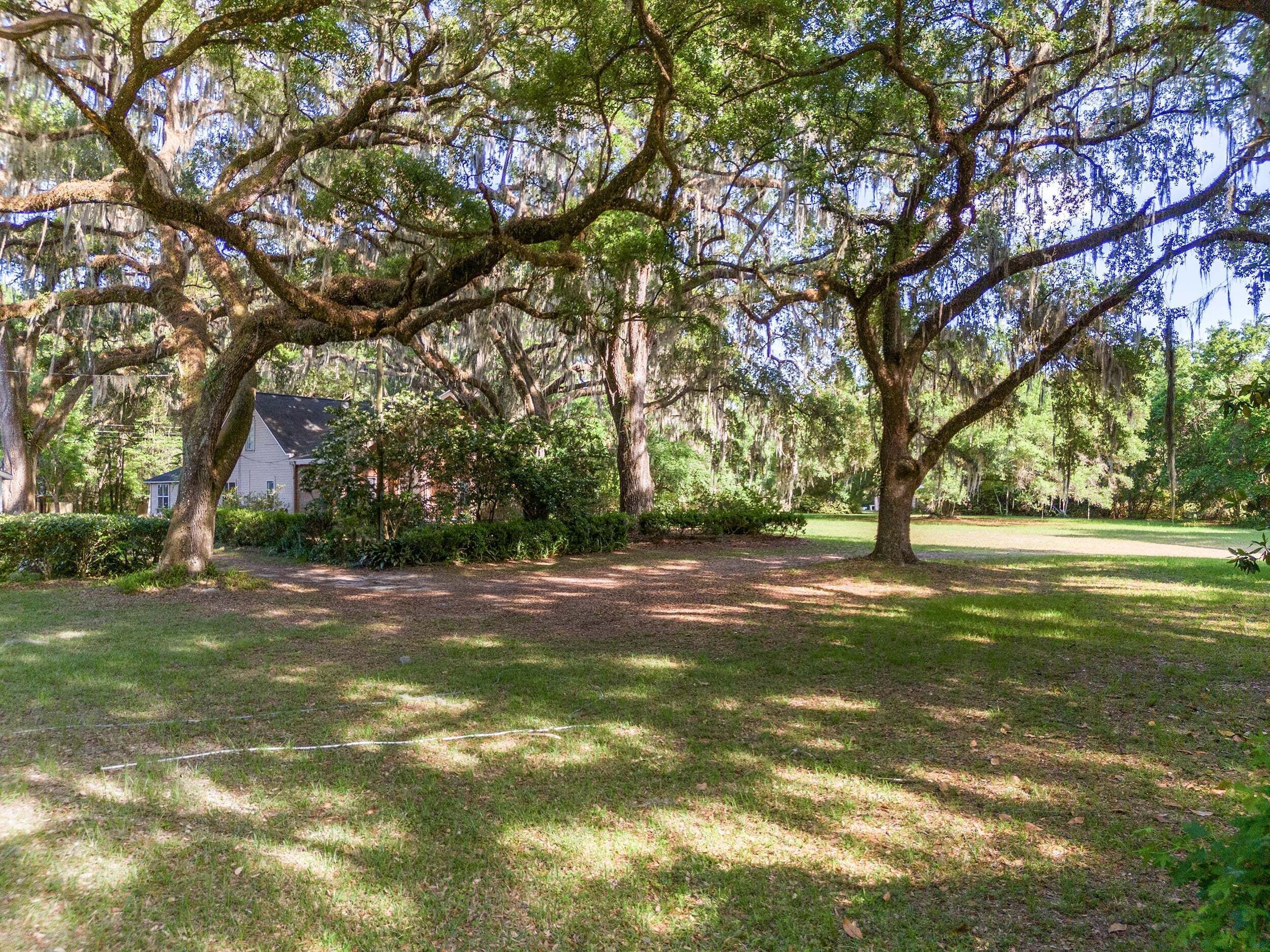A large tree with a thick trunk and sprawling branches, a grassy area with a path, and a house partially obscured by trees.