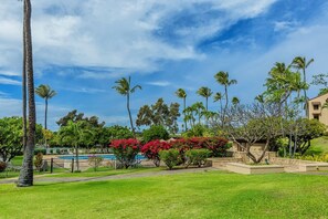 A pool area with palm trees and red flowering bushes, surrounded by a well-maintained lawn and a fence.