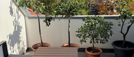 Terrazza/patio