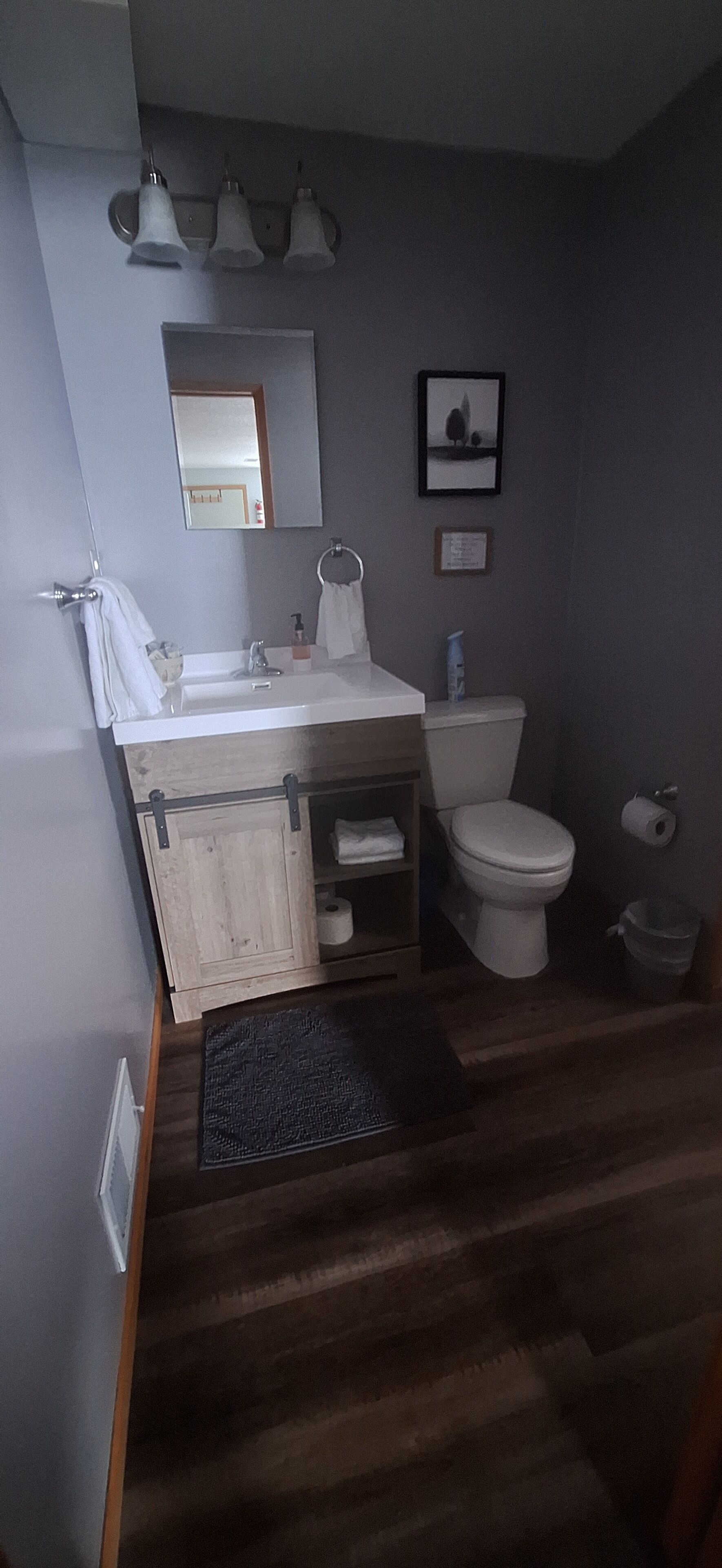 Serviettes fournies, savon, papier toilette