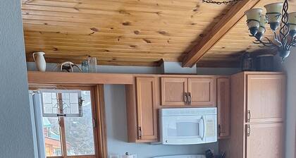 Leech lake cabin with gorgeous views! 2br/2ba pet friendly!