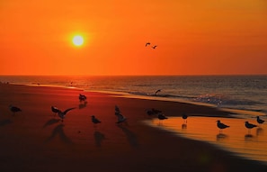 Plage