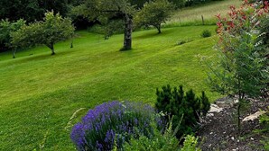 A lush green landscape with a variety of trees and a field of purple flowers in the foreground. - Gite "La maison de la colline" 5 minutes de Tournus Sud Bourgogne (Vers)