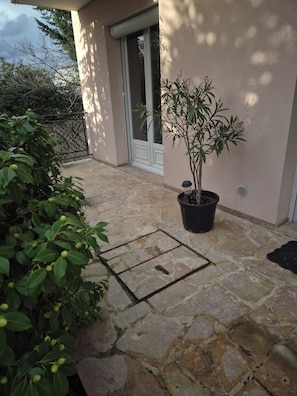A stone-paved outdoor area with a potted plant, a metal grate, and a door leading to a building.