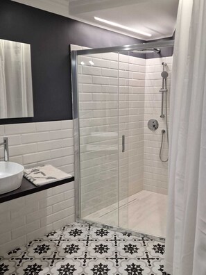 Shower, hair dryer, bidet, towels