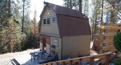 2 story tiny house ready for your retreat in the woods. 4x4 and horses welcome!