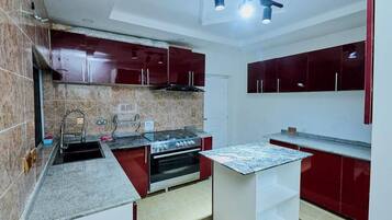 Family Apartment, Balcony, City View | Private kitchen | Fridge, microwave, oven, stovetop
