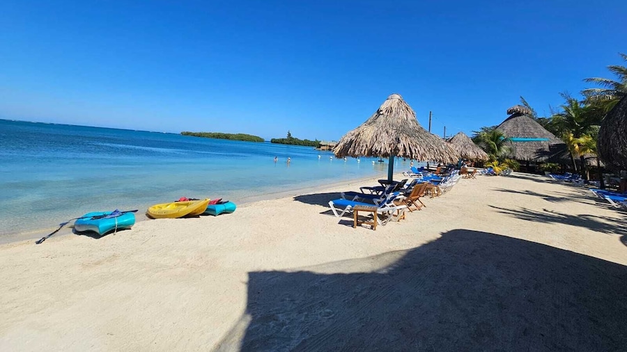 Casa Margarita