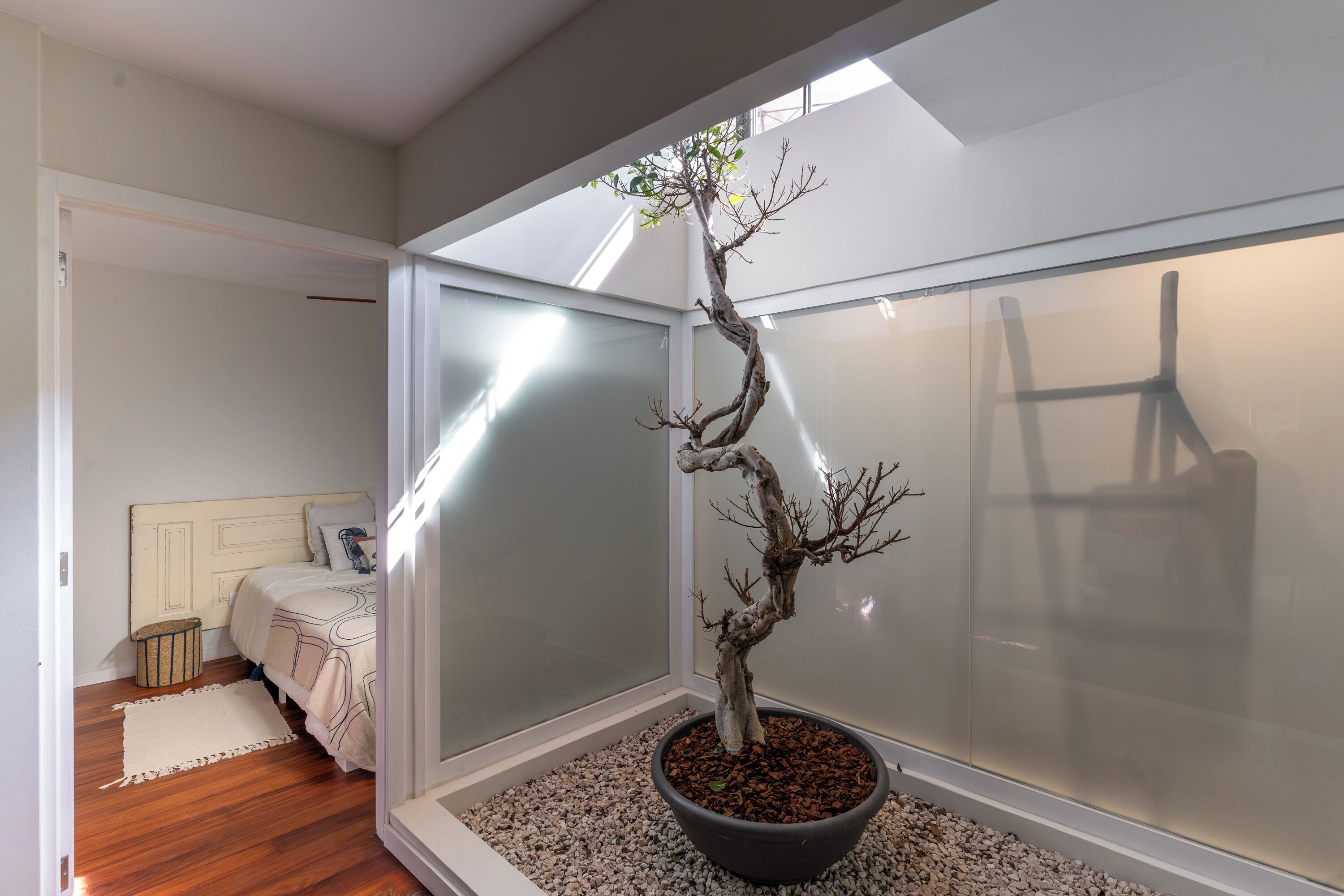 A room with a bed, a small stool, a potted bonsai tree, and a sliding glass door leading to another room.