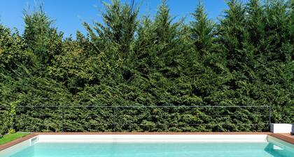 Feel Discovery P&P House Douro Valley