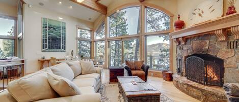 Televisio, takka, DVD-soitin, videokirjasto