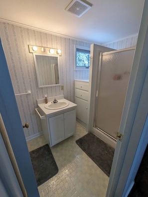 Bathroom - Quiet In-law Suite (Canton)