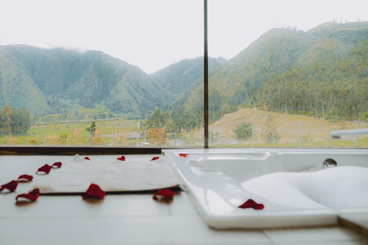 Comfort Cabin, Patio, Mountain View | View from room