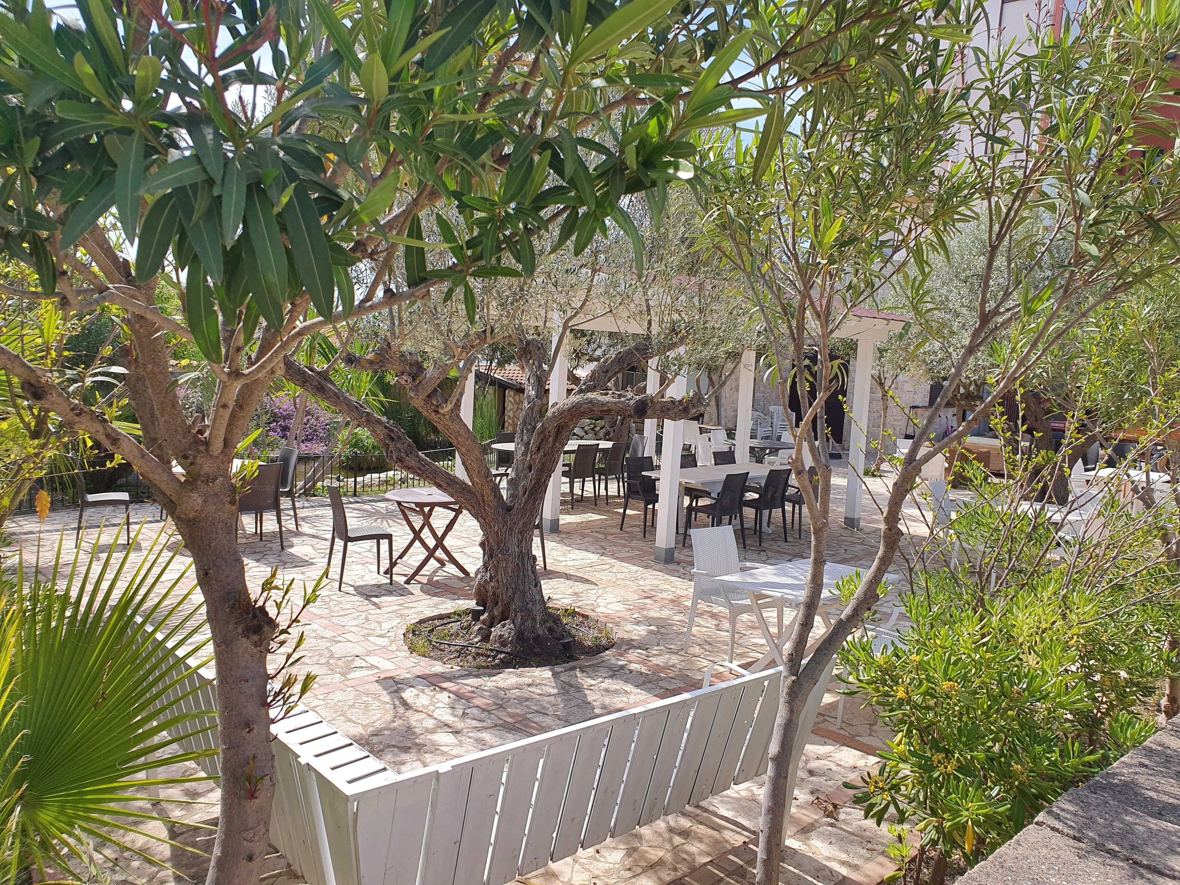 An outdoor patio area with tables and chairs, surrounded by trees and plants.