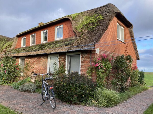 Opas Hus Auf Pellworm - Pellworm