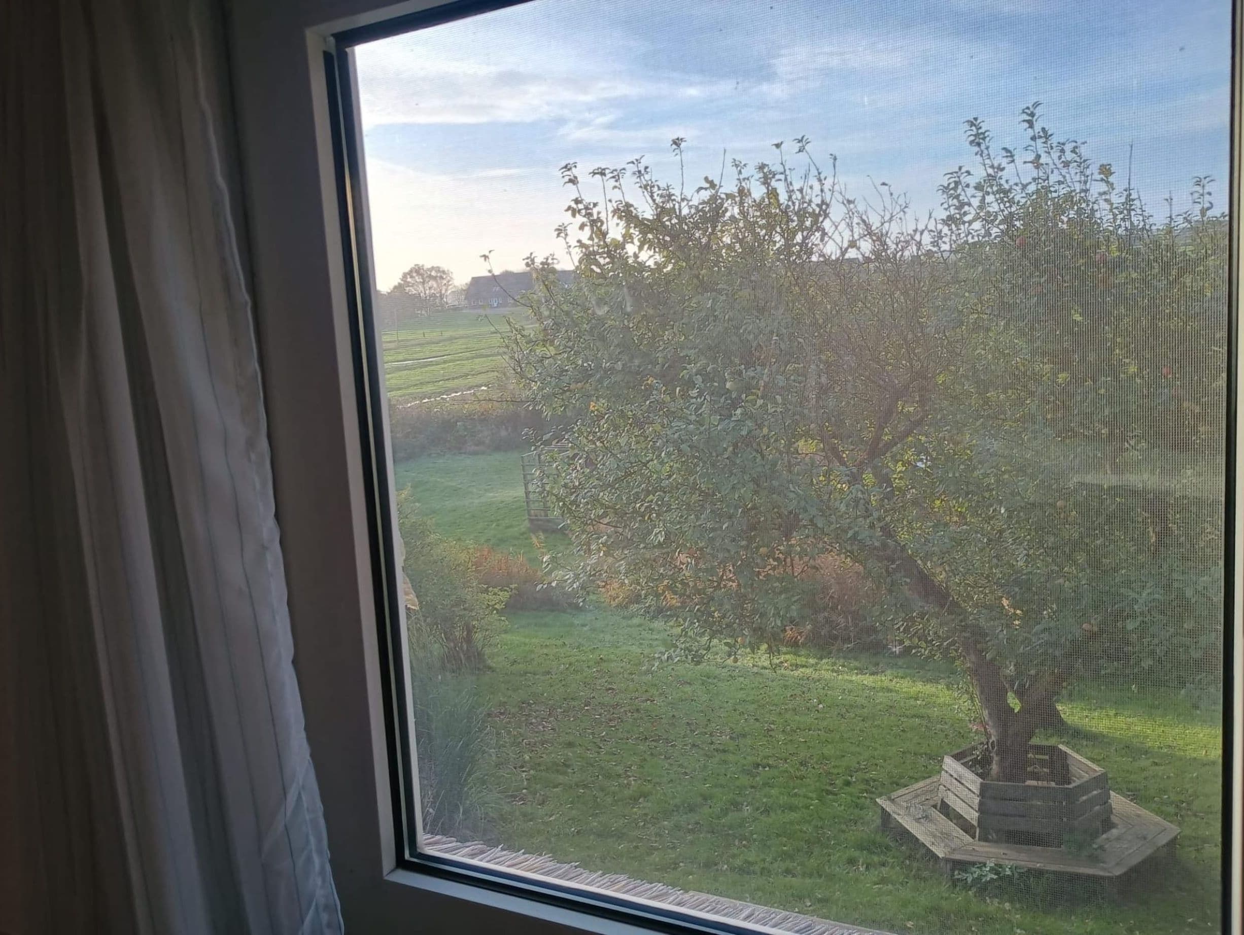 Vista da propriedade